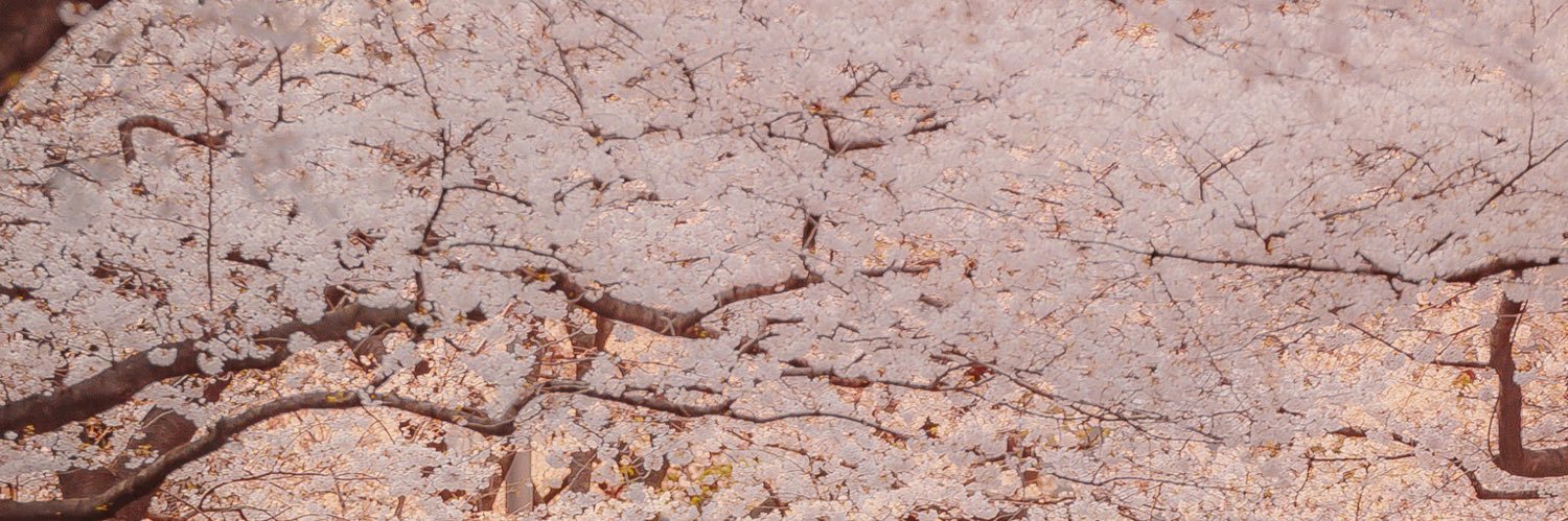 sssschilling's profile banner image