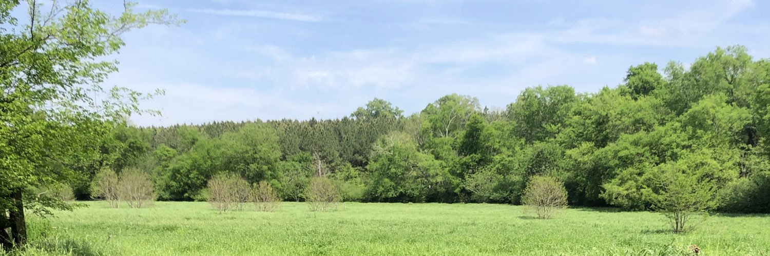 KoonceLandon's profile banner image