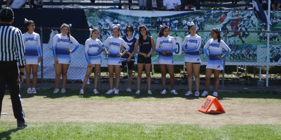 Gamoscheer's profile banner image