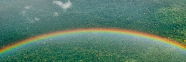 amazonwatch Profile Banner