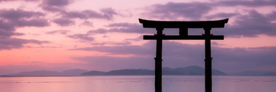agnosierra's profile banner image