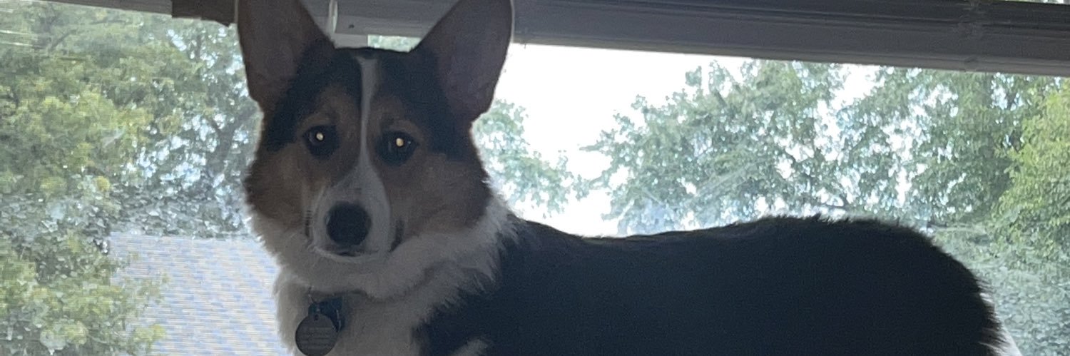 roshelllaa's profile banner image