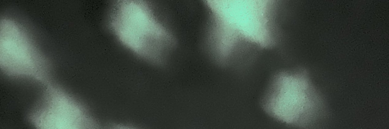 kalechip_69's profile banner image