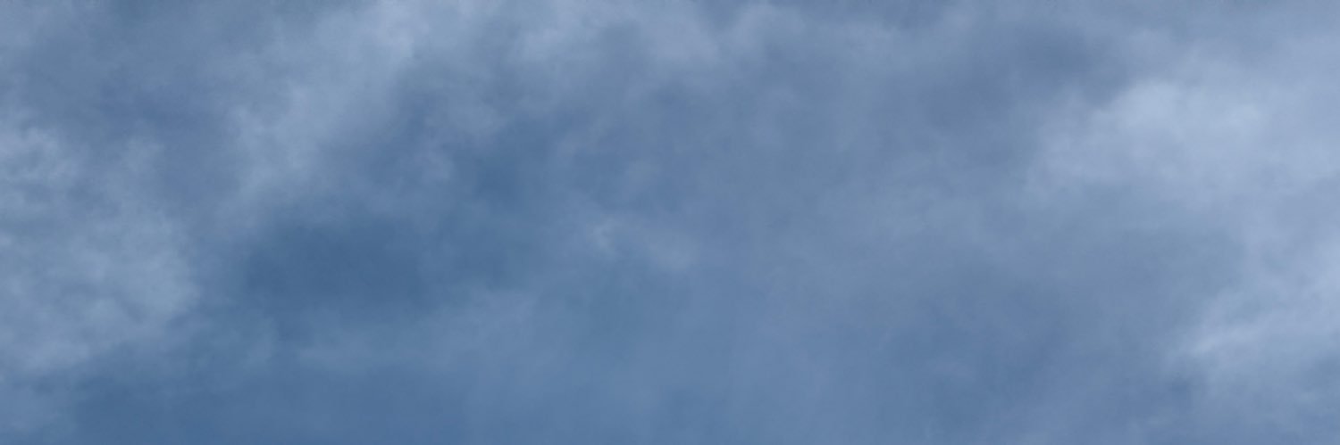 stoptaemin's profile banner image