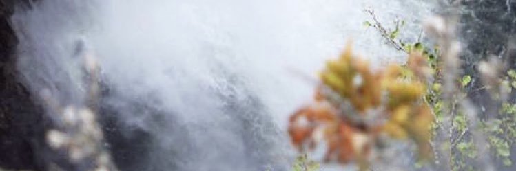 NicoleSomer's profile banner image