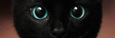 _miijares's profile banner image