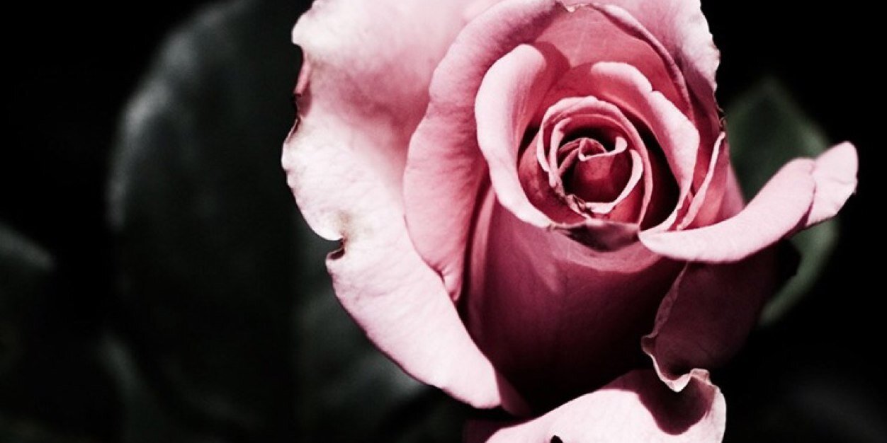 lowstakes_'s profile banner image