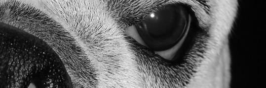 Marisolsero's profile banner image