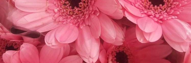 jgamezz_'s profile banner image