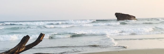 Serko (o no ser) banner