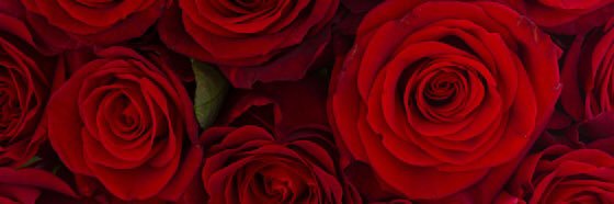 Adamaaaaak's profile banner image