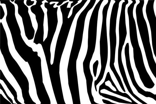errrnaw's profile banner image