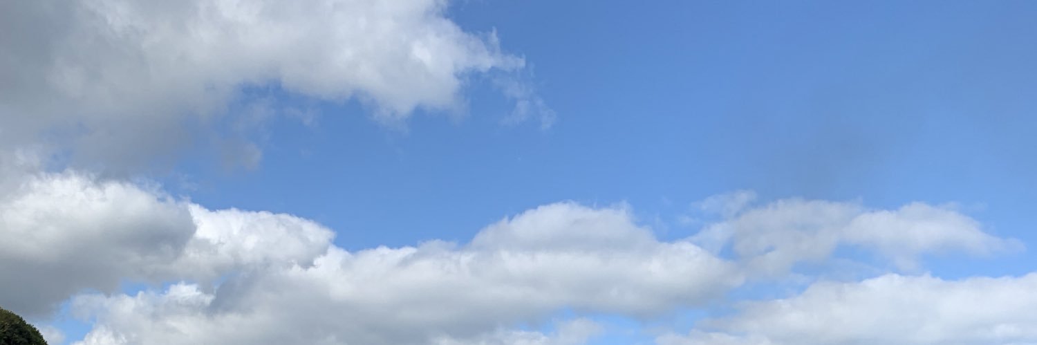 ohshizzless's profile banner image