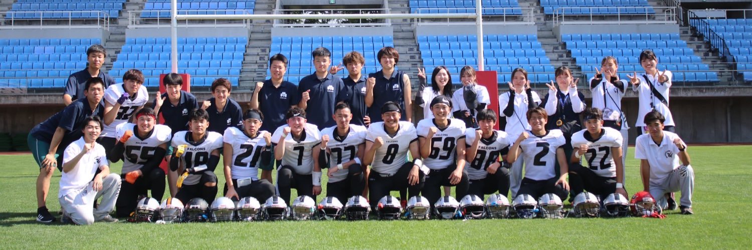 SilverFalcons_A's profile banner image
