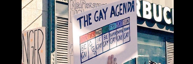 Clare Shannon banner