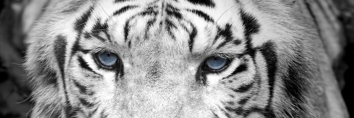 babsloaded's profile banner image