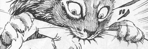 weedslibre's profile banner image