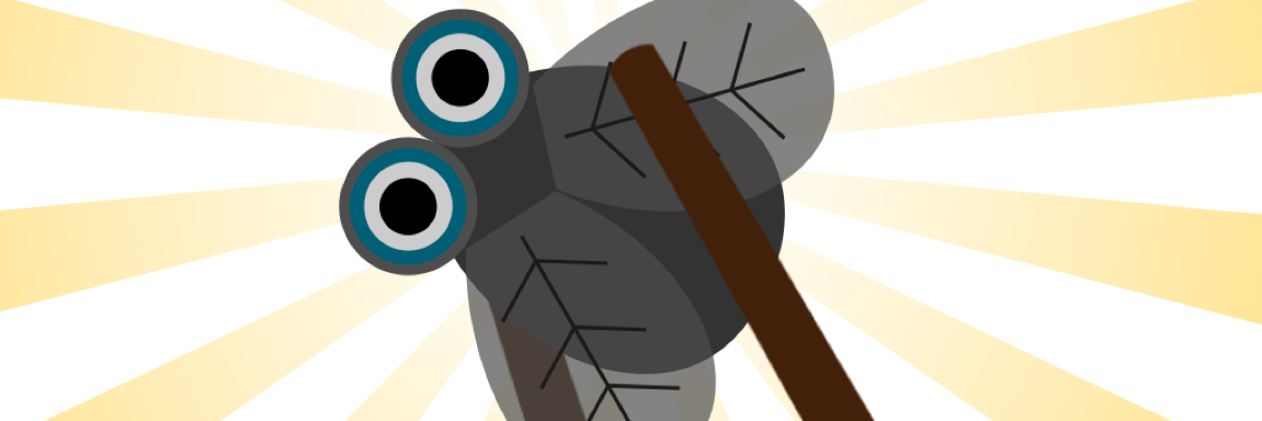 CryptoMiyagi's profile banner image