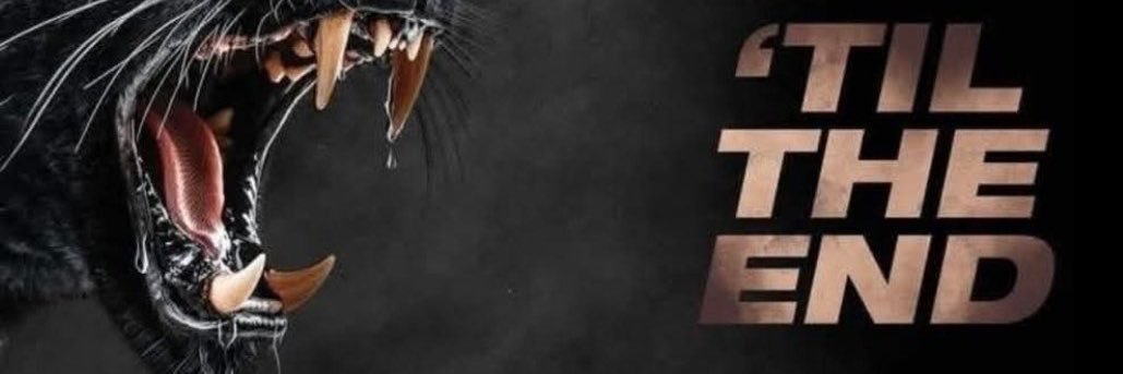 Paul 🛵 banner