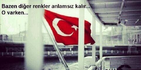 asenakeskk's profile banner image