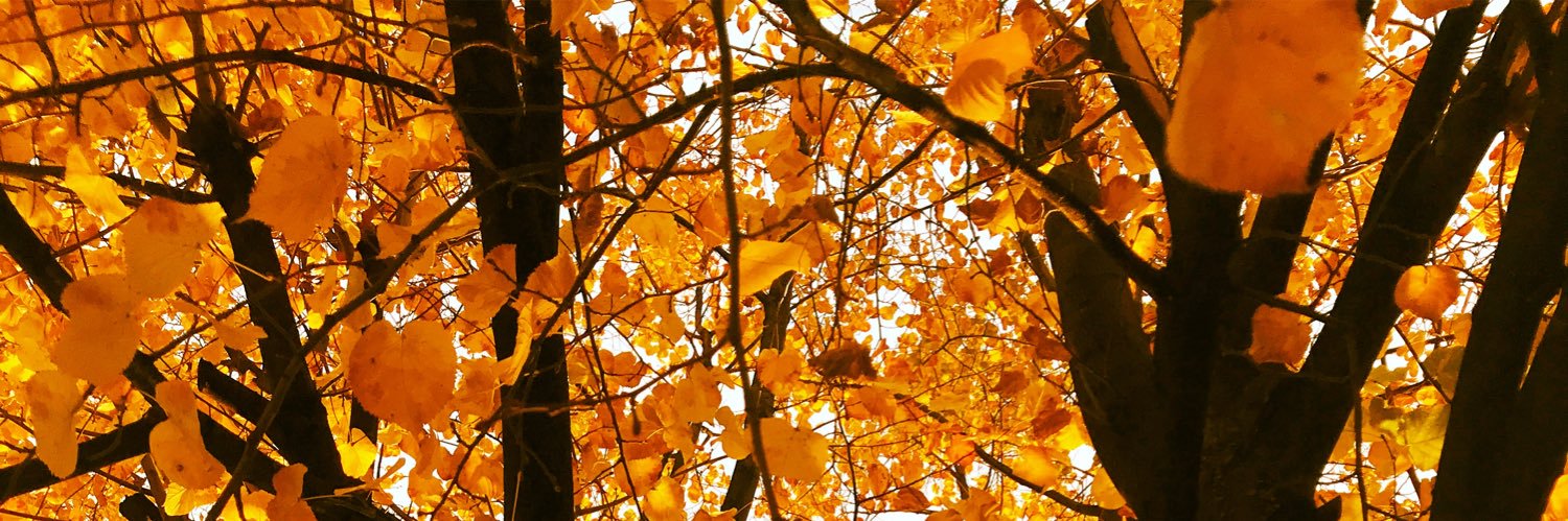 ysfcoskun64's profile banner image