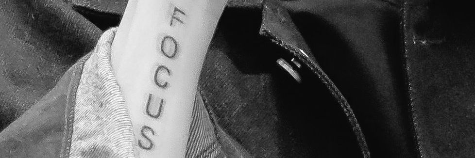 🐬 banner