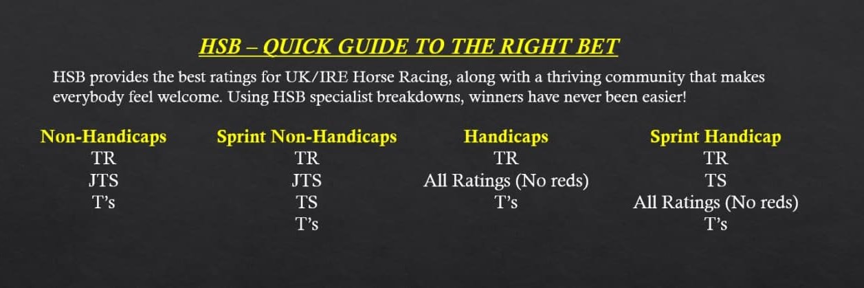 HorseSystemBets banner