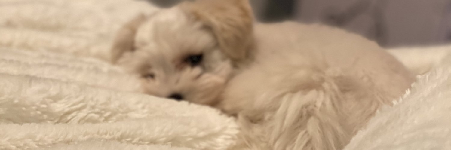 AtkinsonAveri's profile banner image