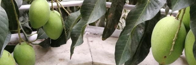 savitasing's profile banner image