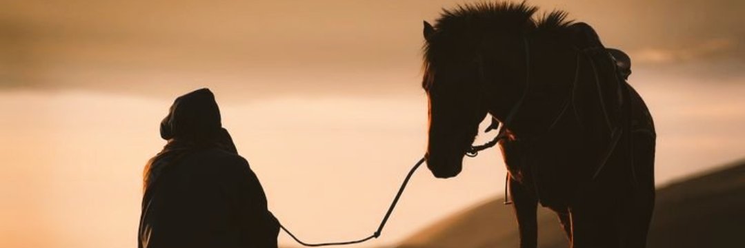 esrahasko47's profile banner image