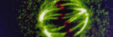 VISHNU M NAIR banner