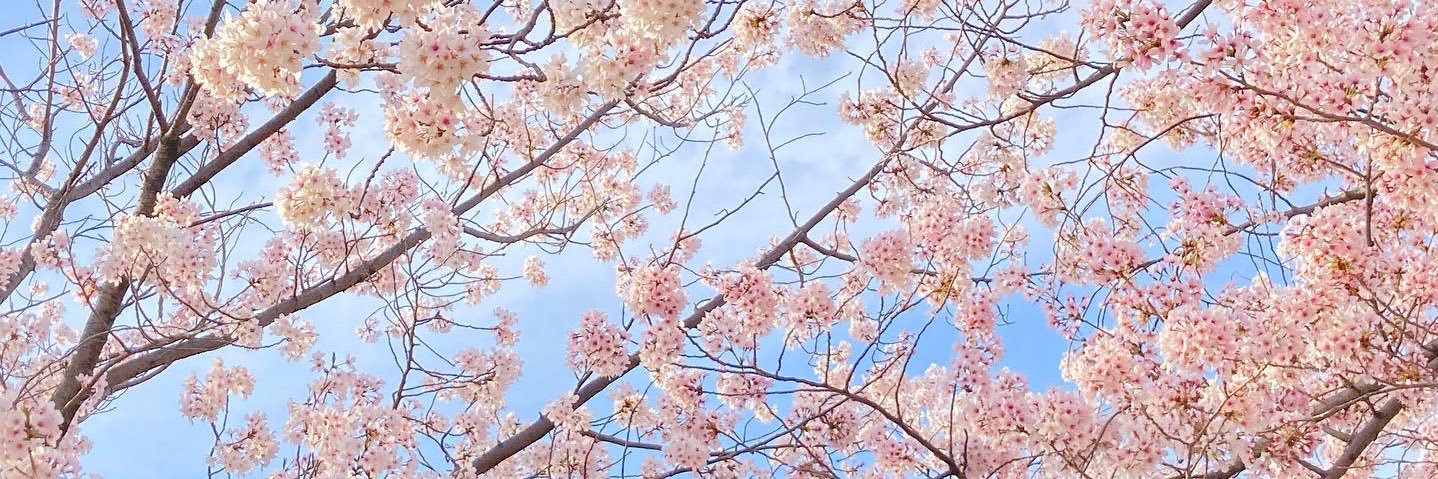 おしゃべりアートライター井川茉代（いかわまよ） banner