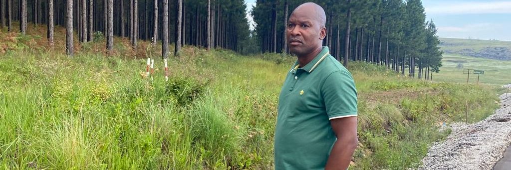 DManchidi's profile banner image