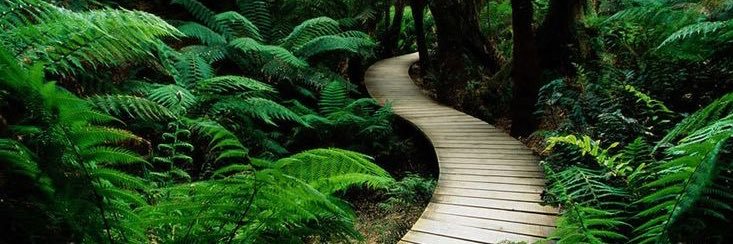 Jess 🤍💚 banner