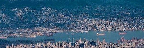 SamiPineapple's profile banner image