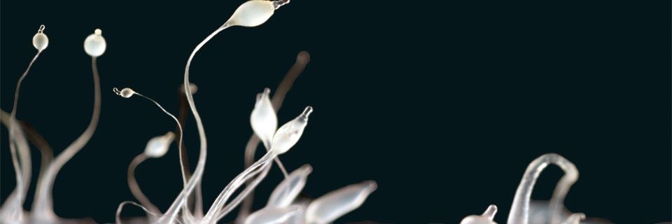 _isratjahan's profile banner image