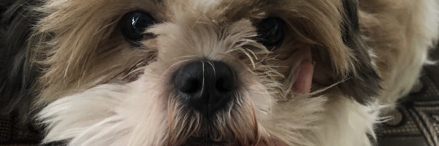pvnnwyg's profile banner image