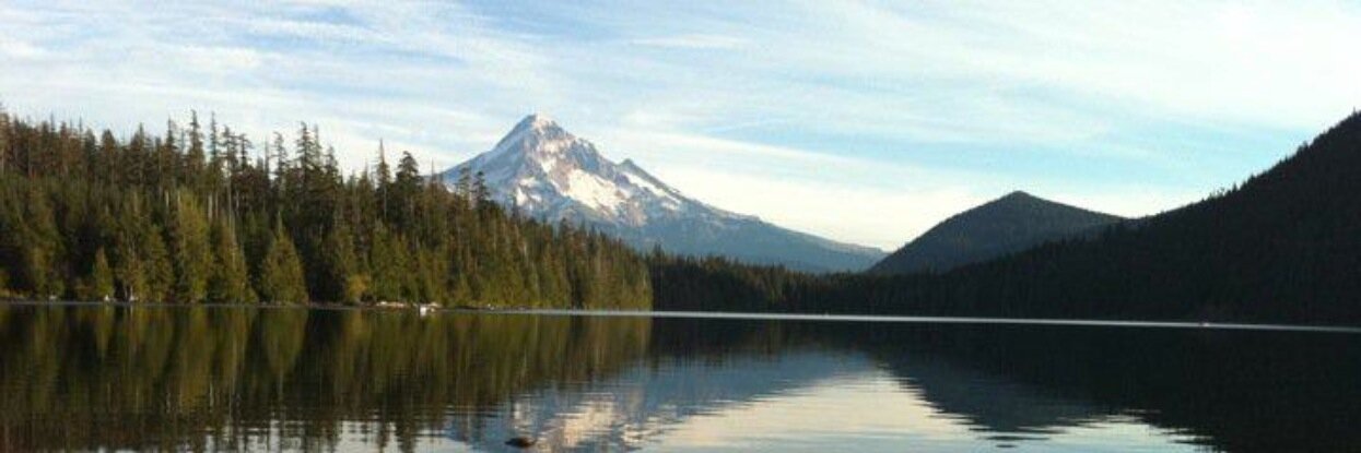 Brooke-Lynn Howard banner