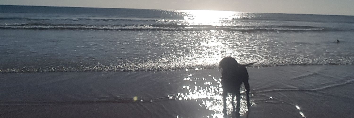 vinnymccarthy's profile banner image