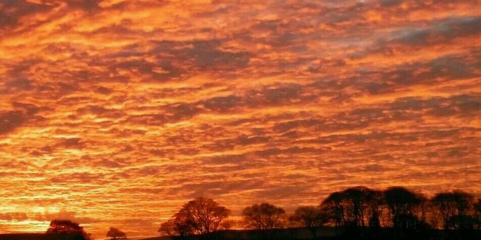 Peak Forest View banner