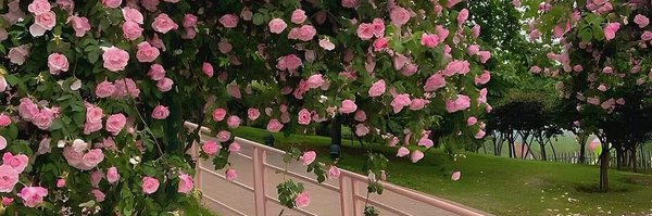 aumacicio Profile Banner