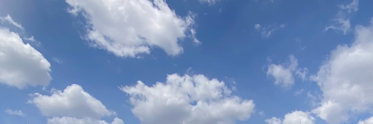 merelaskar's profile banner image