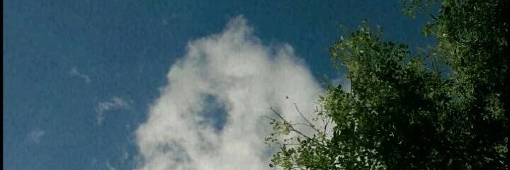 sandry_cuello's profile banner image
