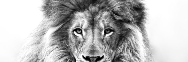 kingcrizzy's profile banner image