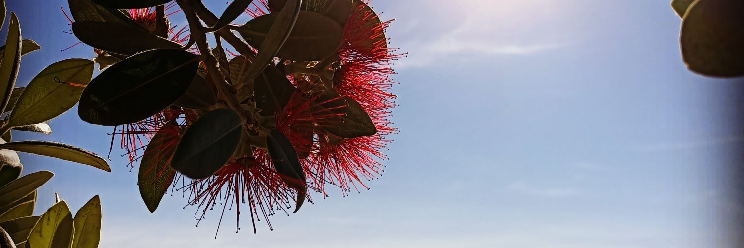 fi0nagd's profile banner image