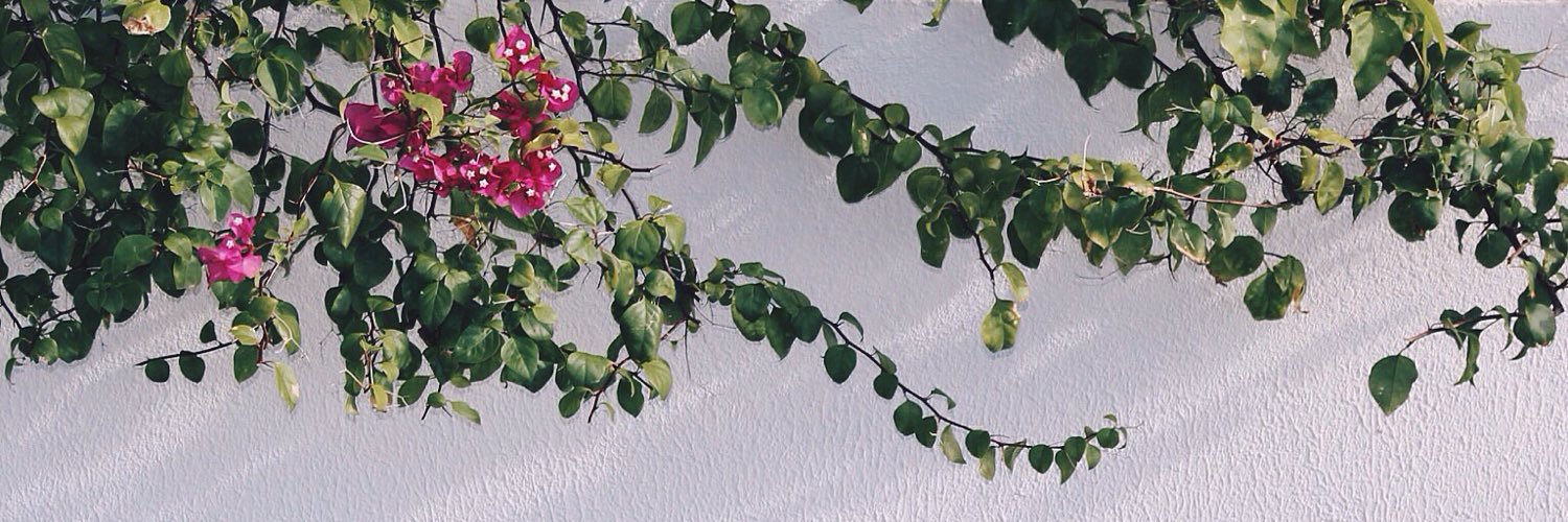 Ainie banner