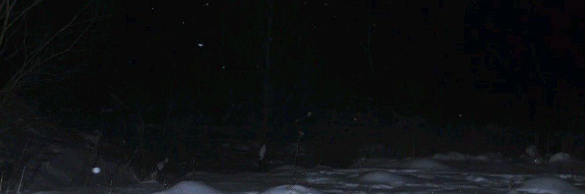 PLUTO banner