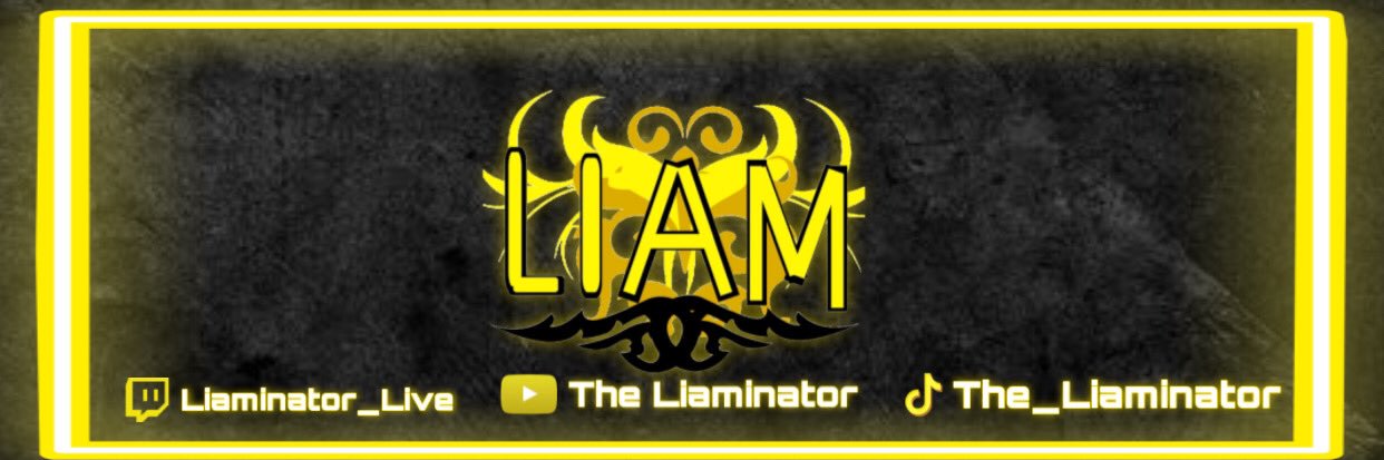 The Liaminator banner