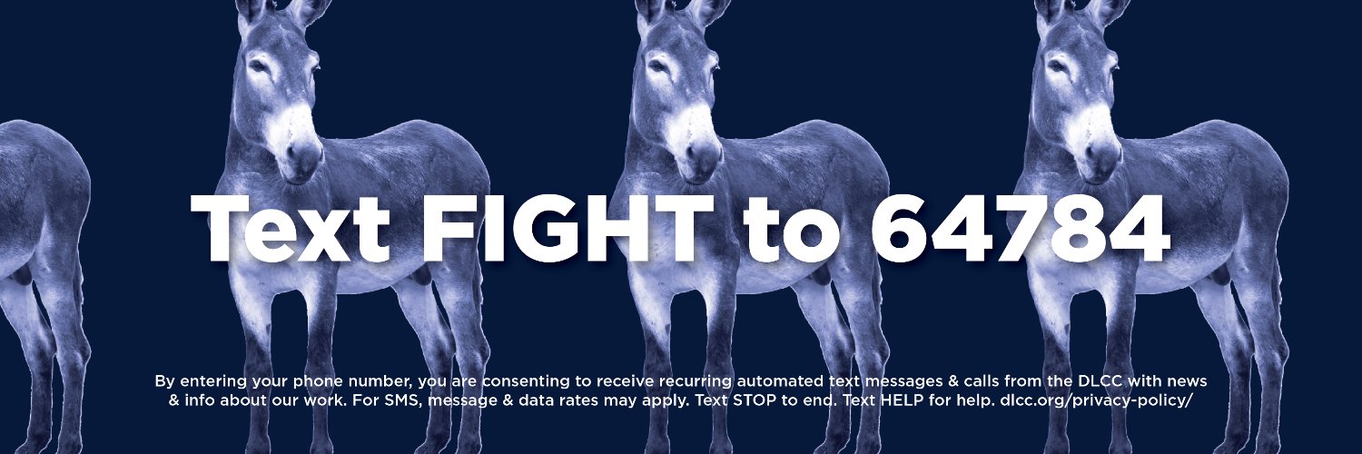 Democratic Legislative Campaign Committee banner