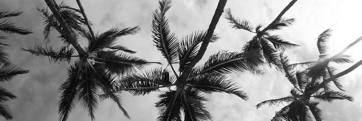 user06071996's profile banner image